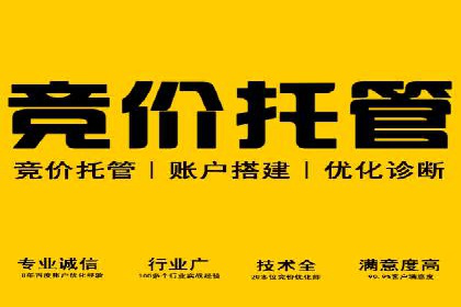 谷歌竞价实战：数据分析与优化技巧